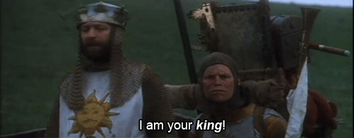 I didnt vote for you i am your king GIF.