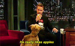 tv,dog,jimmy fallon,apple,ryan gosling,george,apples