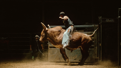 rodeo,slowmotion