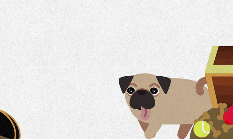 treasure,cosmic,muttville,dog,animal,puppy,pug,pirate,rescue,pup,adopt,animal rescue,mutt,ahoy,pooch,puggle,will herring,yarr,mutt ville,low speed camera,adopt dont shop