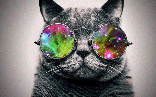 psychodelic,hippie,montage,cat,kitty,glasses,galaxy,colors can get you high
