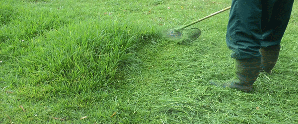 Трава газон gras гифка.