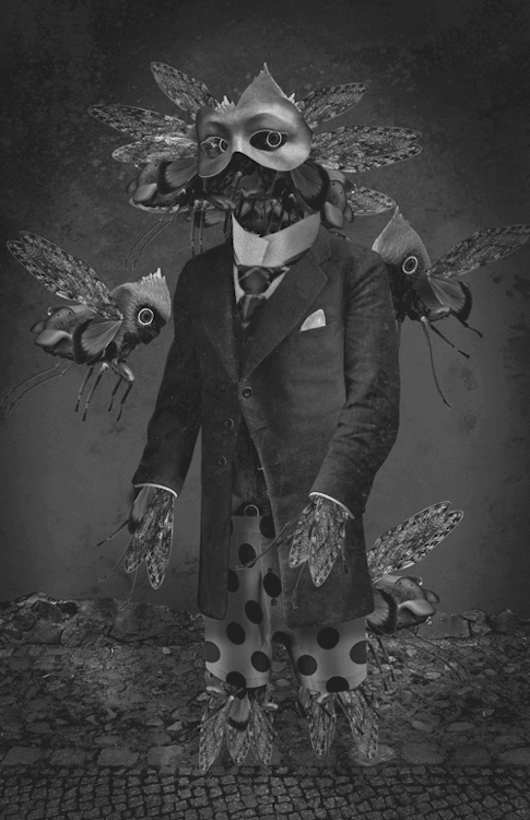 creepy,black and white,boxer briefs,art,joy,mask,collage,tumblr featured,colin raff,kunst,insects,zbags,springtime,cuddly,polka dots,cryptid,loops