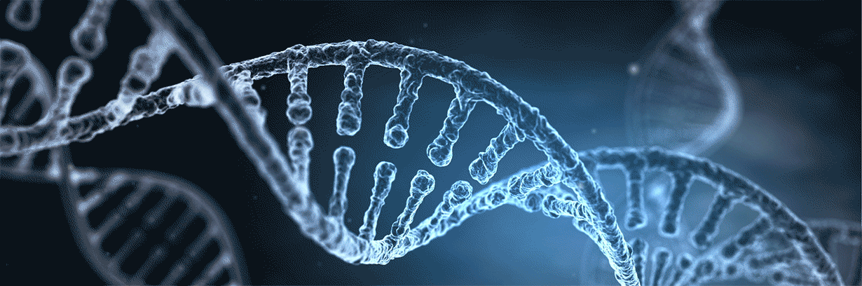 Живая клетка днк. ДНК анимация. ДНК гифка. Гены ДНК. Генетика гифка.