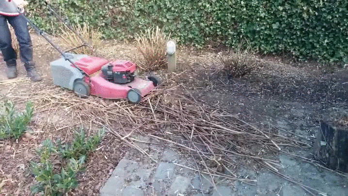Lawnmower branches GIF.