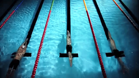 swimming,olympics,swim,gliding,glide