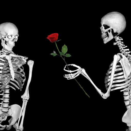 i love you,skeleton,love,amor,rose,loop,happy anniversary,anniversary,heart,valentine,love ya,skull,love you,i love ya,wedding anniversary,luv u,i luv u,flower,human,luv,bone