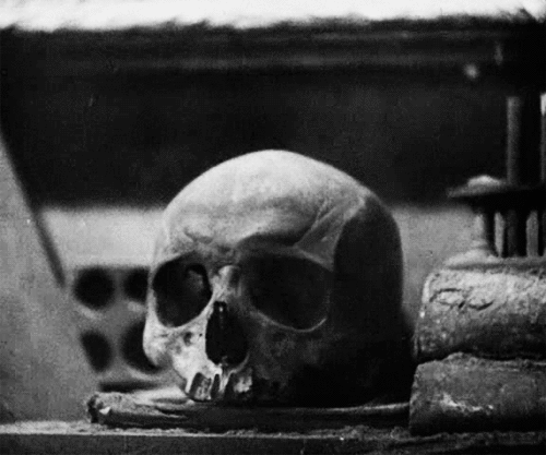 gothic,skull,black and white,creepy,dark,death,morbid