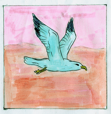 bird,animation,frame by frame,fly,analogue,seagull,whateverbeclever,whatever be clever,copic,polina kuznetsova