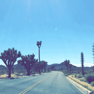 desierto,joshua tree,driving,road trip,california