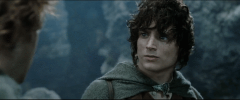 the lord of the rings,chicken,dinner,frodo,elijah wood,roast chicken