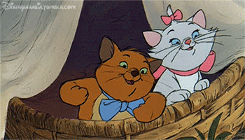 aristocats,marie,disney,toulouse,arabia,lick it up baby