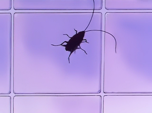 Бегающие тараканы по экрану. Таракан гифка. Тараканы бегают по экрану. Анимация тараканы бегают по экрану. Ползающие жуки по экрану.