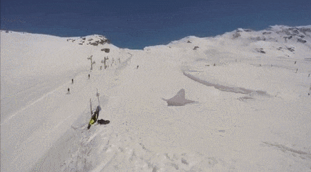 skier,flip