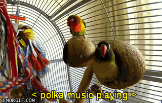 polka,animals,pictures,squee