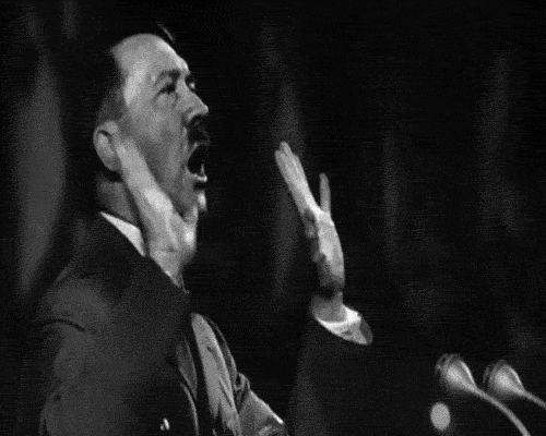 Hitler adolf hitler nazi GIF.