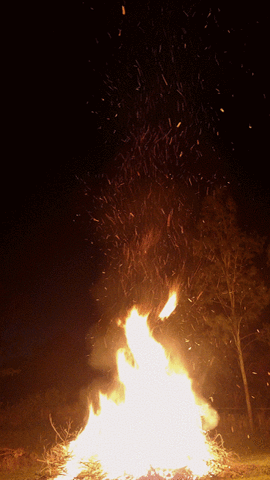 bonfire,night,saturday