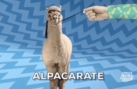 alpaca,alpaka,funny,lol,karate,gutearbeit
