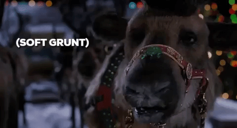 reindeer,the santa clause,christmas movies,tim allen,refused