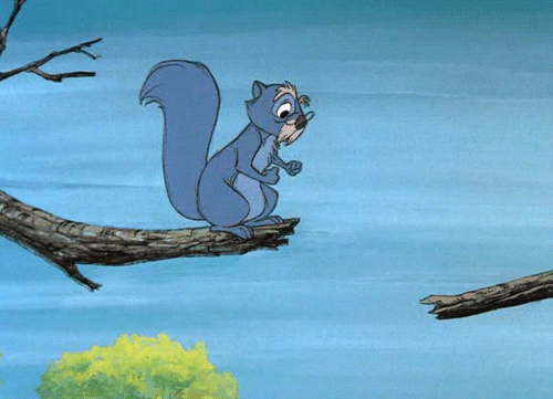 the sword in the stone,disney,jump,squirrel