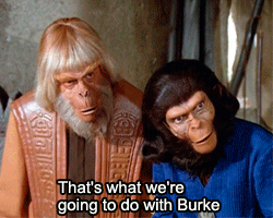 planet of the apes,chimpanzees,gorilla,sci fi,wanda,pota,the planet of the apes,orangutans,mark lenard,beverly garland,zaius,booth colman,planet of the apes tv series,general urko