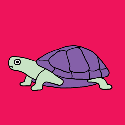 error,what,illustration,bug,pet,sherchle,turtle,ready,partay,banging,woot woot,vibes,art,party,design,glitch,animal,celebration,drawing,weekend,mood,glas 2017,uh oh,illustrated,overload,buggy,system error
