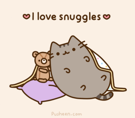 hug,pusheen cat,teddybear,snuggles,love,adorable