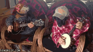 dog human,bluegrass,dogs,guitar
