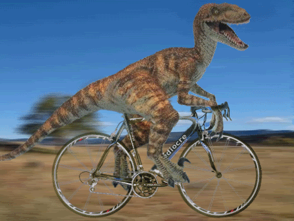 velociraptor,dinosaur