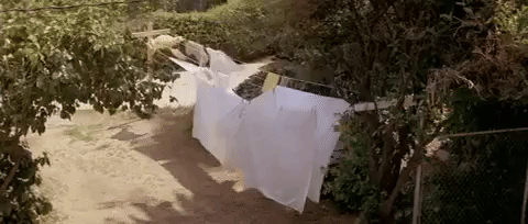 horror,halloween,1970s,john carpenter,clothesline