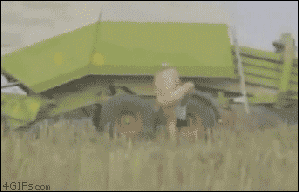 agriculture,truck,adult,response,harvest
