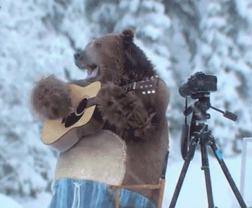 snow,guitar,bear