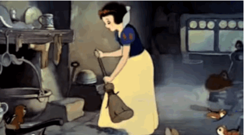 cleaning,snow white