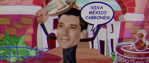 viva mexico,mexico,fiesta,politica,independencia,septiembre,mexicanos,cabrones,the great gatsby,spring is in the air,24h bayern