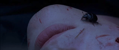 give me your hand,movie,film,blood,bug,bugs,2008,insect,insects,serenity,bleed,why god did you curse me with this face
