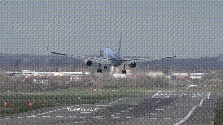 Animated GIF: plane land stella.