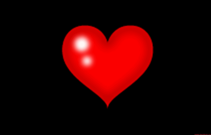 love,heartbeats,heart