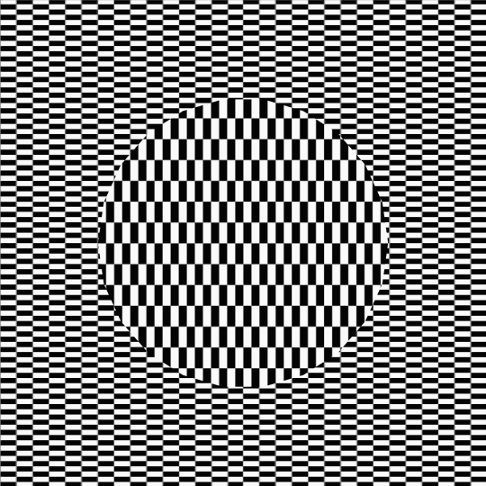 illusion,trapcode,xponentialdesign,black and white,loop,trippy,motiongraphics,hypnotic,gifart,tao,seamless,trapcodetao,optical,opart,hypnotism,after effects,motion design