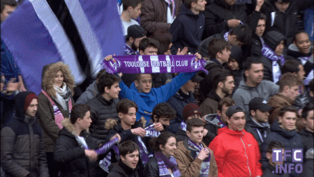 sports,soccer,fan,ligue 1,tfc,toulouse fc,supporter