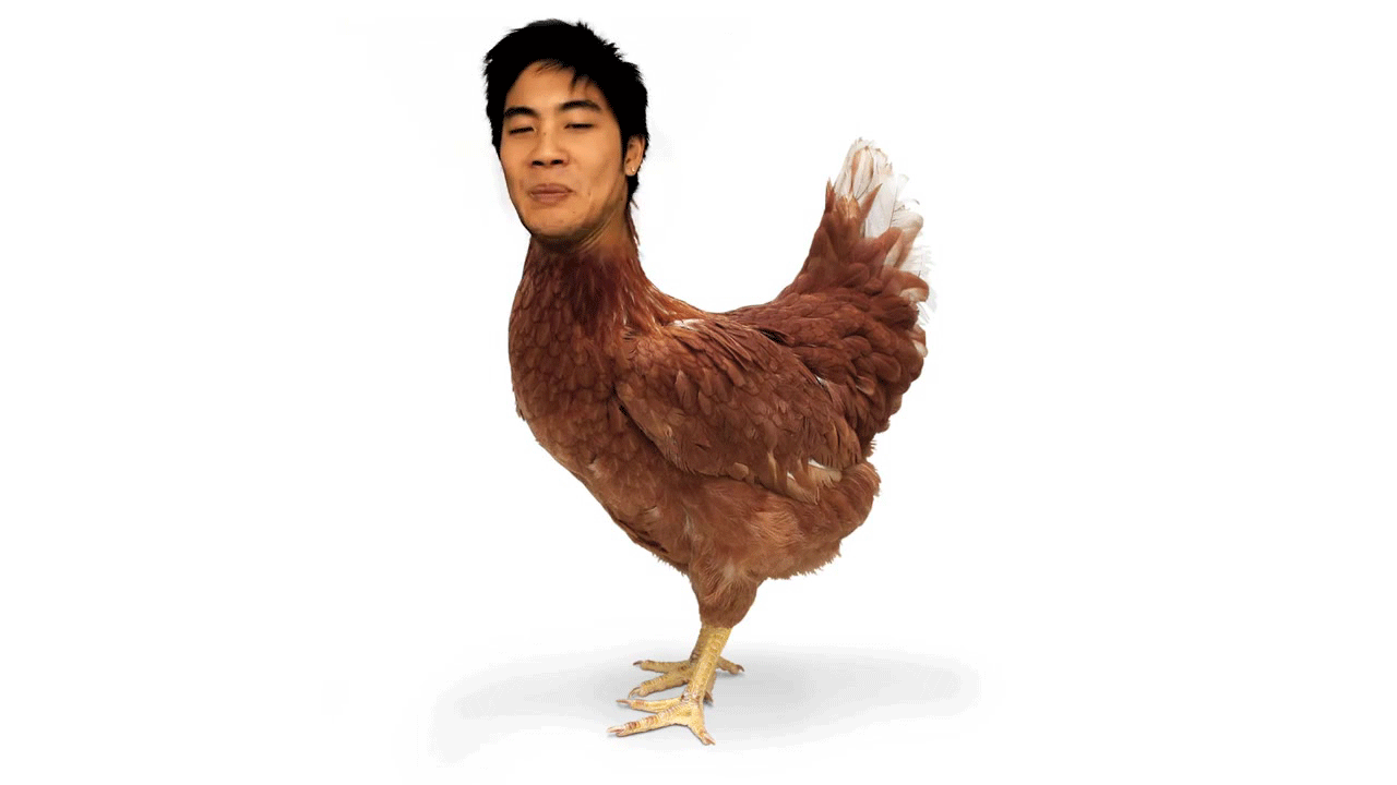 Chicken ryan GIF.