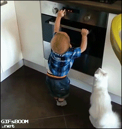 cats,we,now,wait,babies,alright,until,ovens,fireplace