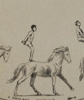 animation,19th century,richard balzer,dick balzer,hetalia s