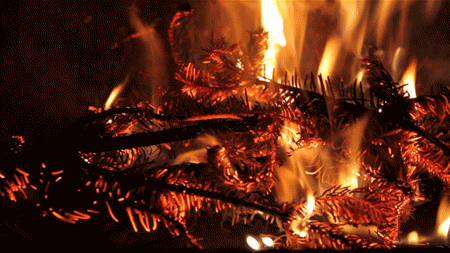 fireplace,embers,fire,smoke,girlfriend,relaxing,pine,montage video
