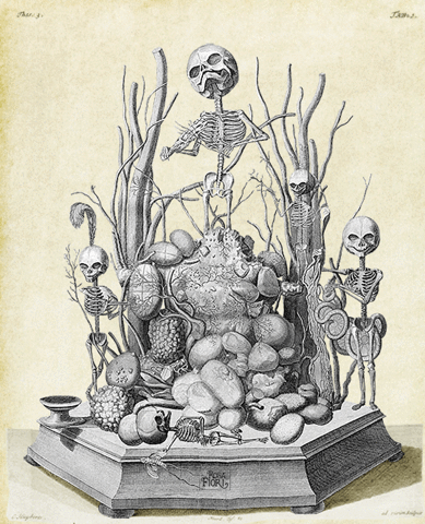 halloween,anatomy,skeletons,gifitup,dpla,pagefrights,18th century,government printing office,slovakia,scott spicoli,carbon,deadshot