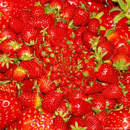 fields,im,strawberry,cos