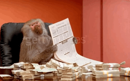 office monkey,newspaper,baboon,reading