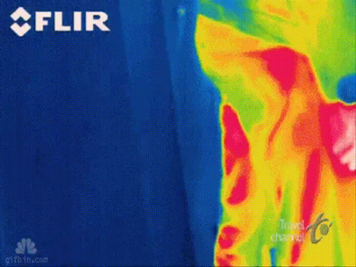 Fart thermal GIF.