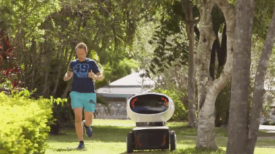 pizza,science,tech,robot,drone,robotics,new zealand,automation,dominoes,pizza robot,robot delivery