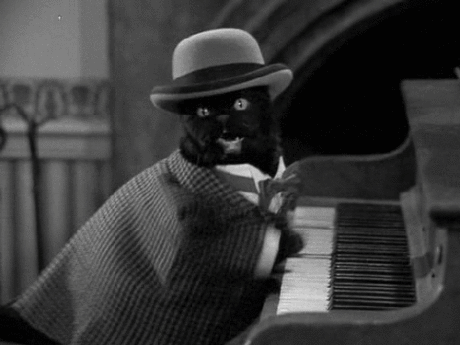 and now for something completely different,funny,cat,black and white,bored,piano,dapper,irrelevant,jaunty