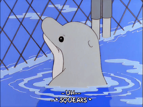 episode 1,sad,water,season 12,dolphin,trapped,fence,12x01,ripples,snorky,beady eyes